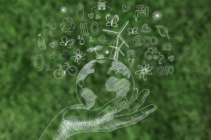 O combate ao Greenwashing nas empresa