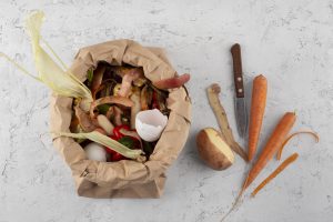 arrangement-compost-made-rotten-food