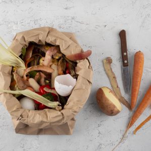 Sustentabilidade com realismo