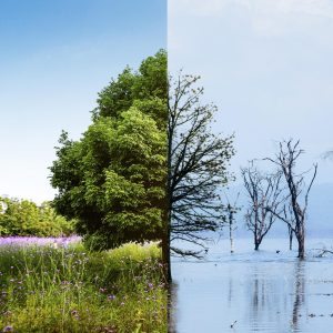APHORT integra Grupo de Acompanhamento da Agenda para a Ação Climática no Turismo 2030