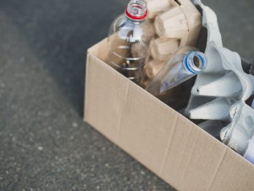 plastic-bottle-egg-cartons-recycle-cardboard-box plastic-bottle-egg-cartons-recycle-cardboard-box