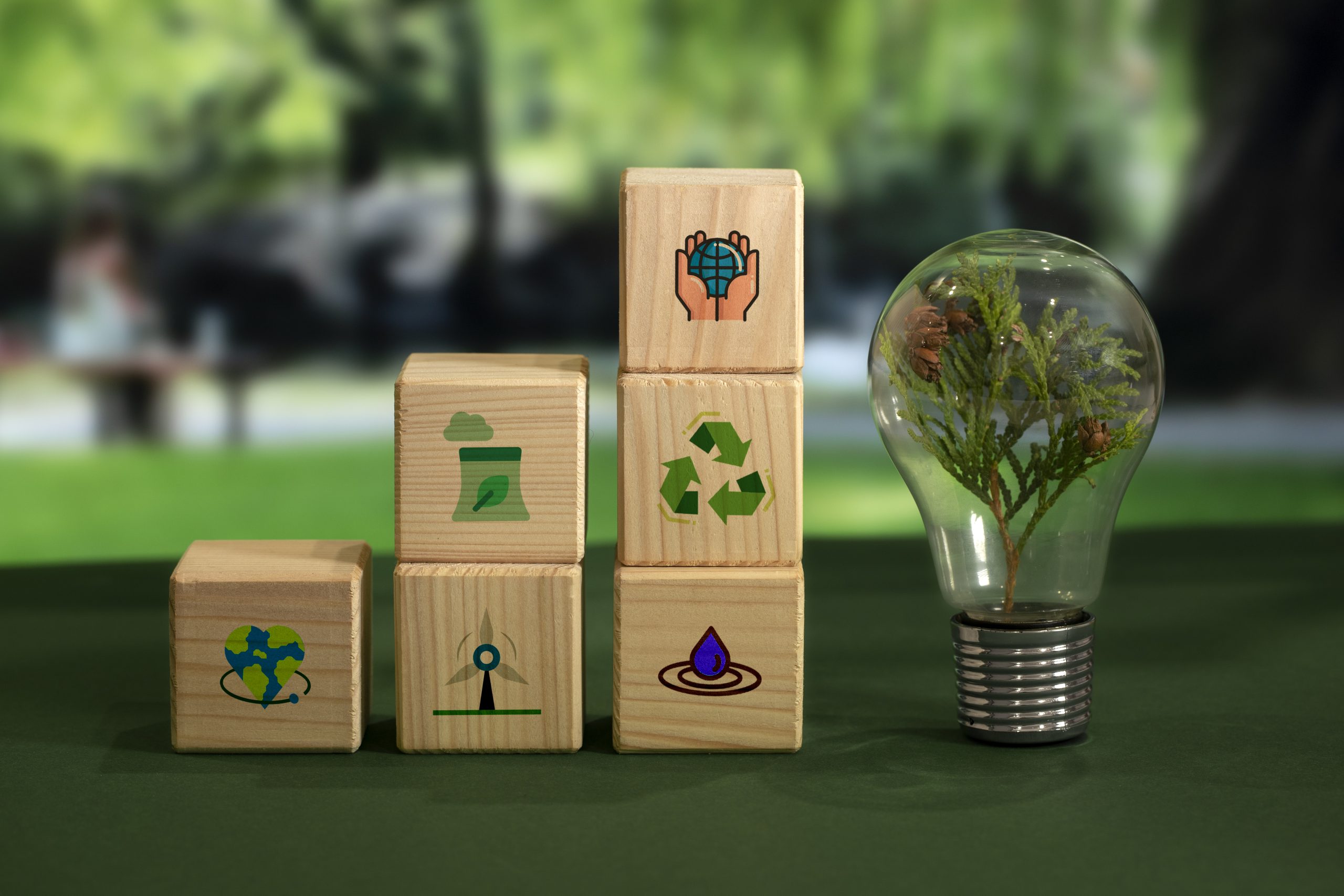 sustainable-development-goals-still-life